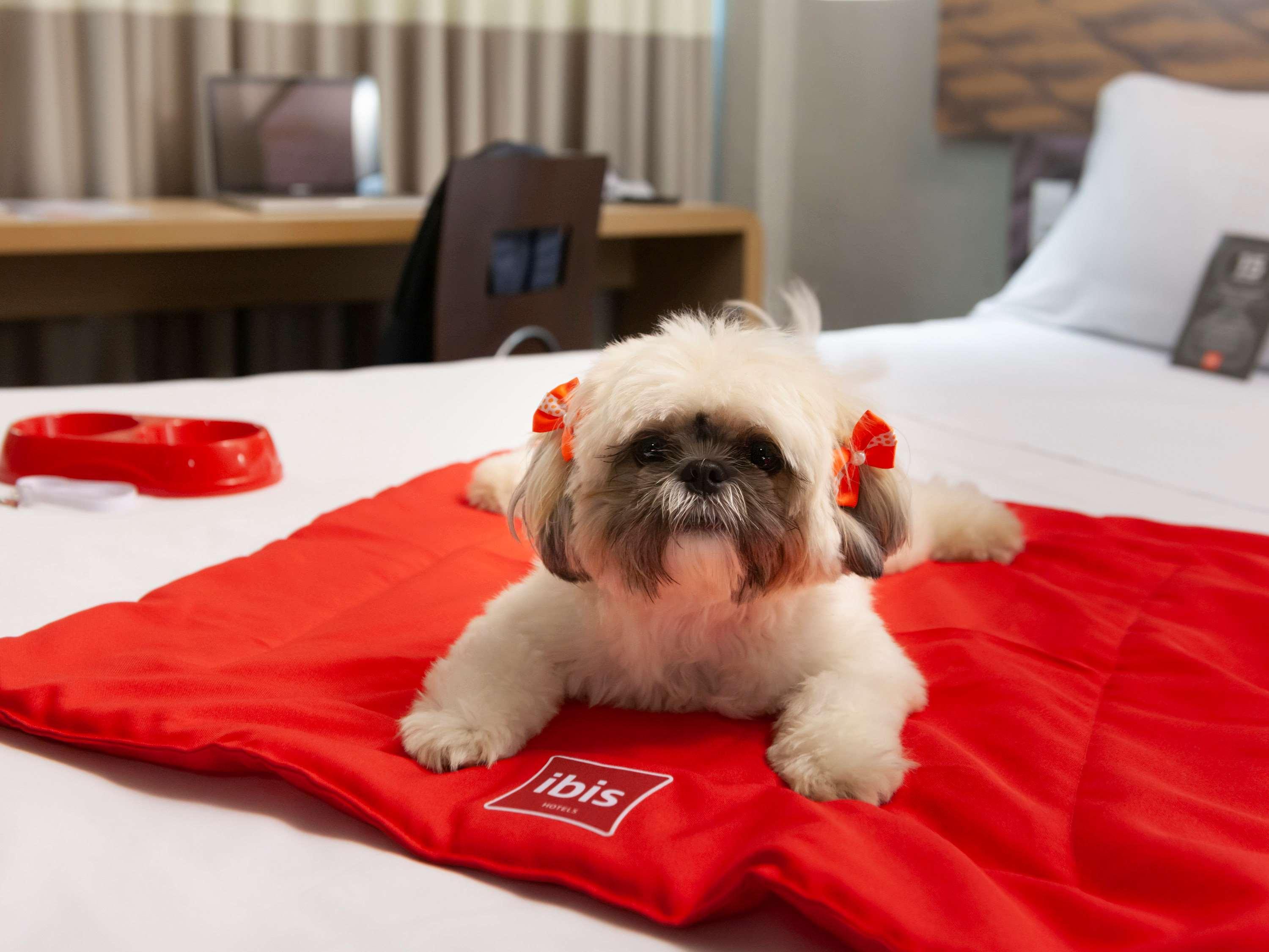 Ibis Teresina Hotell Exteriör bild