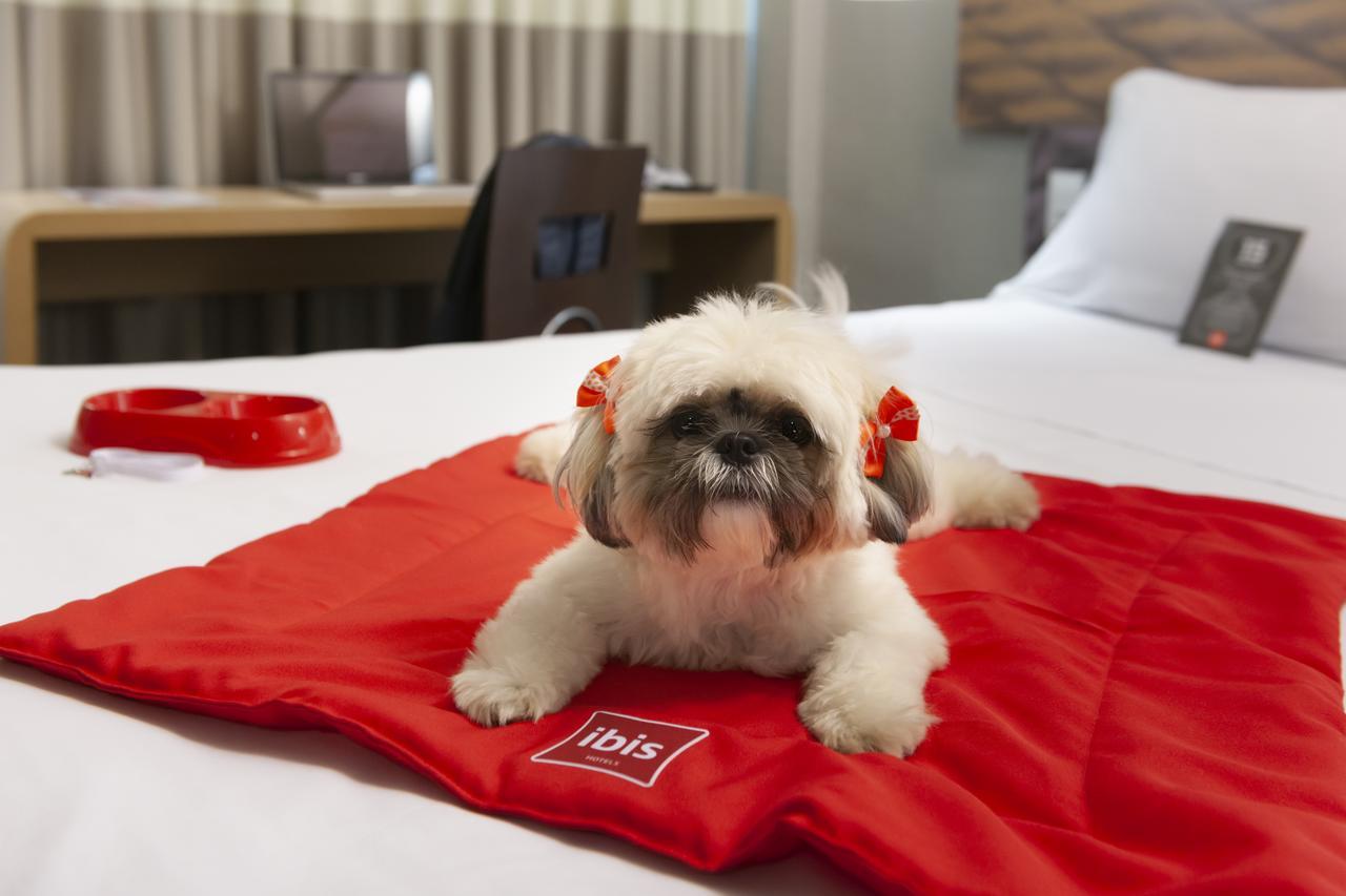 Ibis Teresina Hotell Exteriör bild